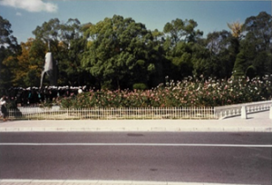 De rozentuin in 1998