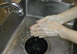 石鹸を使った手洗い