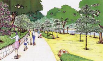 ハナミズキ並木の将来のイメージの画像