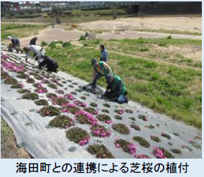 4-7-1 安芸区の概要　海田町との連携による芝桜の植付