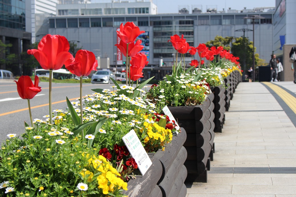 四季の花プランター設置事業 スポンサー募集 広島市公式ホームページ 国際平和文化都市