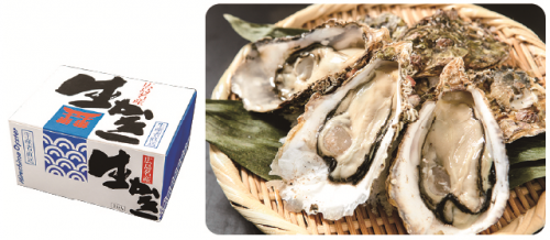 Kusatsu Oysters
