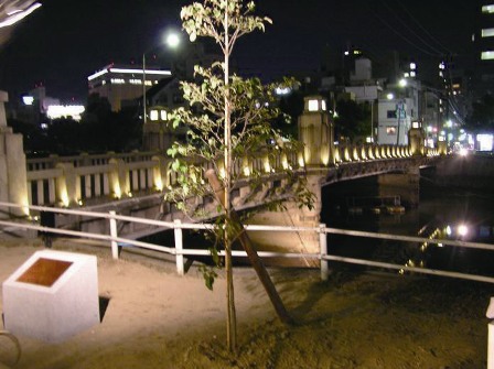 京橋のライトアップ(夜景づくり部門)の画像2