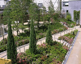 リハビリ庭園の画像