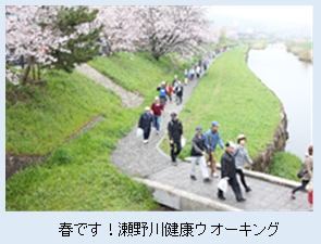 春です！瀬野川健康ウォーキングの写真