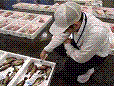 平成26年度広島市食品衛生監視指導計画の画像1