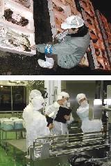 平成25年度 広島市食品衛生監視指導の実施結果についての画像