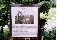 原爆被災説明板（縮景園）の写真