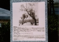 原爆被災説明板（鶴見橋）の写真