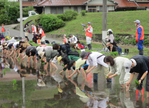 ボランティアによる海外援助米生産事業の写真