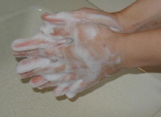 石けんをつけて手のひらを洗う