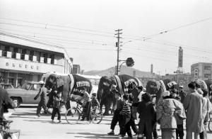 象のパレード