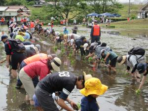 ボランティアによる海外援助米生産事業