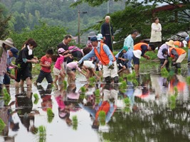 ボランティアによる海外援助米生産事業の画像