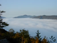 「神ノ倉山から見た霧の海」（安佐北区白木町）の画像