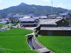 石屋神社付近の田園風景の画像