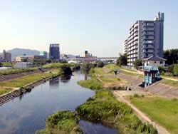 小瀬大橋から見た古川の画像