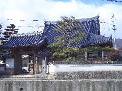 専念寺の画像
