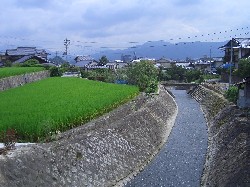石張りが美しい山本川の画像