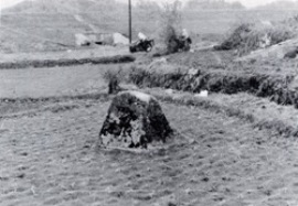 昭和42年頃のキツネ岩の画像