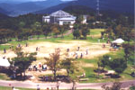 芝生広場とこんちゅう館の写真