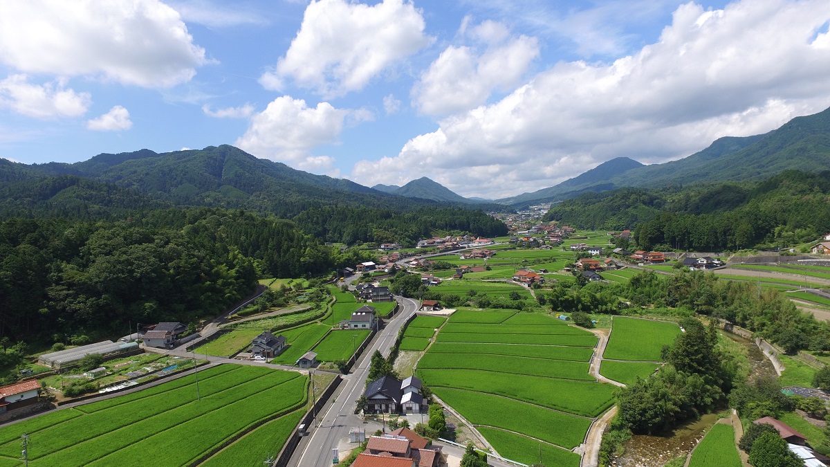 上空から見た戸山地区の画像