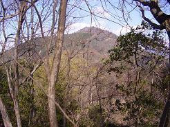 ハイキングコース入口から阿武山を望むの画像