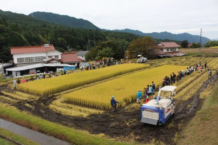 平成30年度　ボランティアによる海外援助米生産事業実施状況の画像3