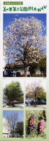 写真　美の里第二公園樹木ガイド