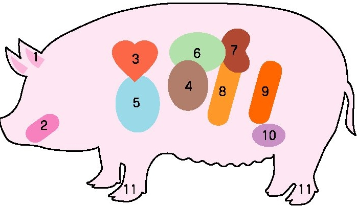 豚の内臓