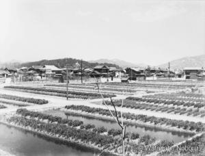 皆実新開の風景 【写真】　昭和11年（1936年）5月19日　渡辺襄撮影
