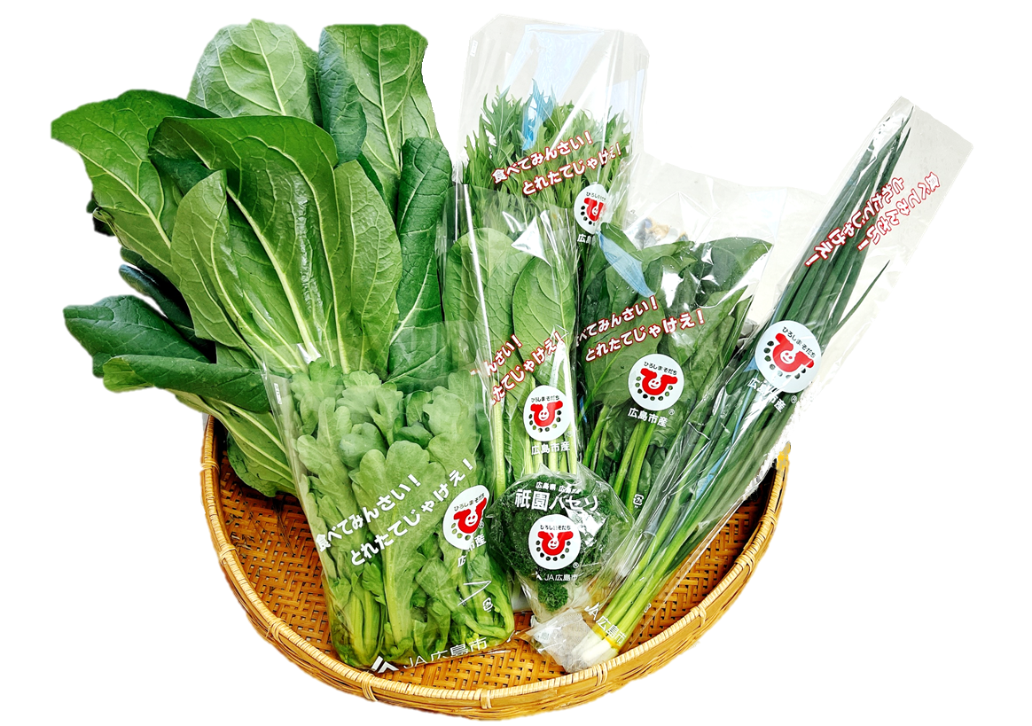 広島近郊7大葉物野菜（小松菜、サラダ水菜、春菊、ほうれん草、パセリ、青ねぎ、広島菜）