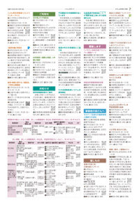 サンプル画像