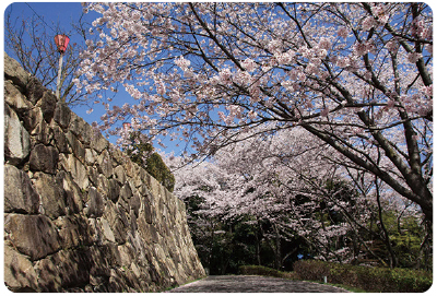 史跡 亀居城跡