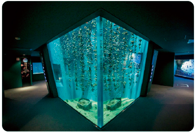 宮島水族館