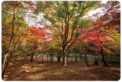 尾関山公園